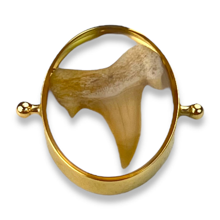 Shark Tooth Encapture™ Element