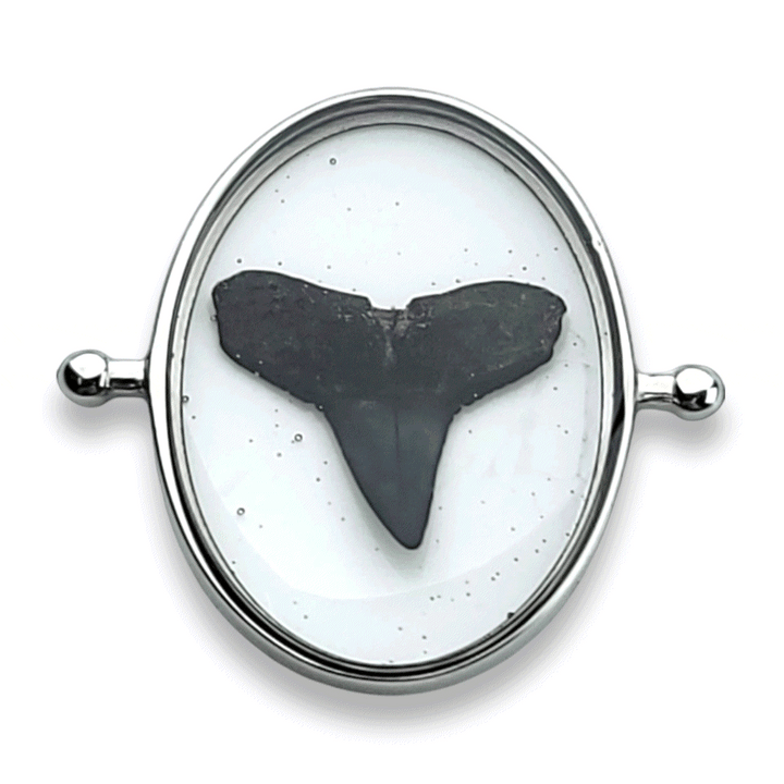 Jaws of the Deep Oval Vessel Element – Sandy Beaches Shop Collab