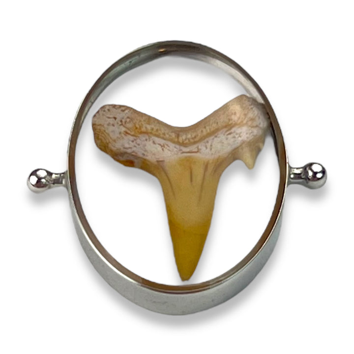 Shark Tooth Encapture™ Element