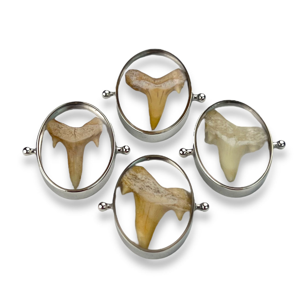 Shark Tooth Encapture™ Element