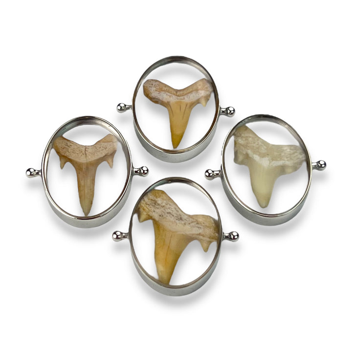 Shark Tooth Encapture™ Element