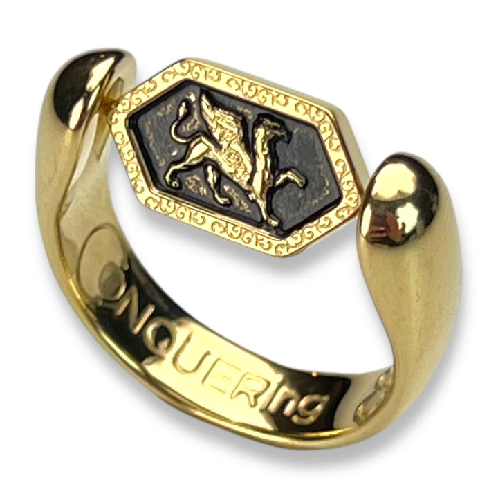 Griffin AlaDune™ Fidget Ring