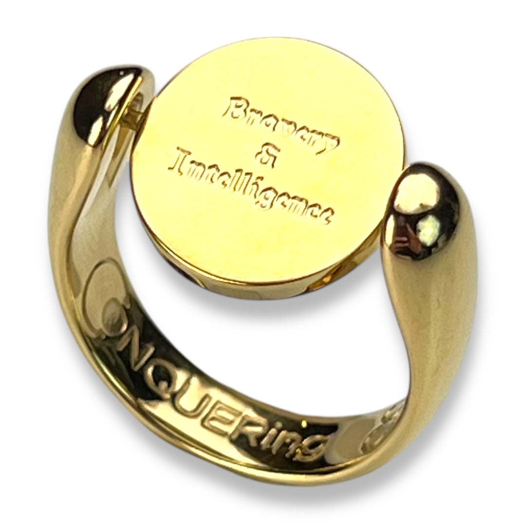 Pegasus AlaDune™ Fidget Ring
