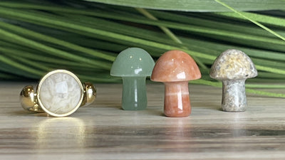 Mini Crystal Mushroom 3-Pack